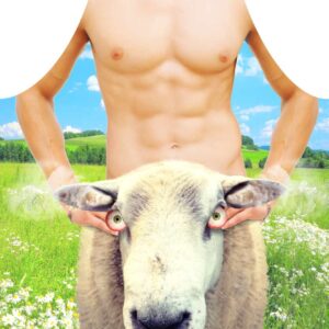 fartuch-nr-03-sheep Fartuch nr 03 (sheep)..