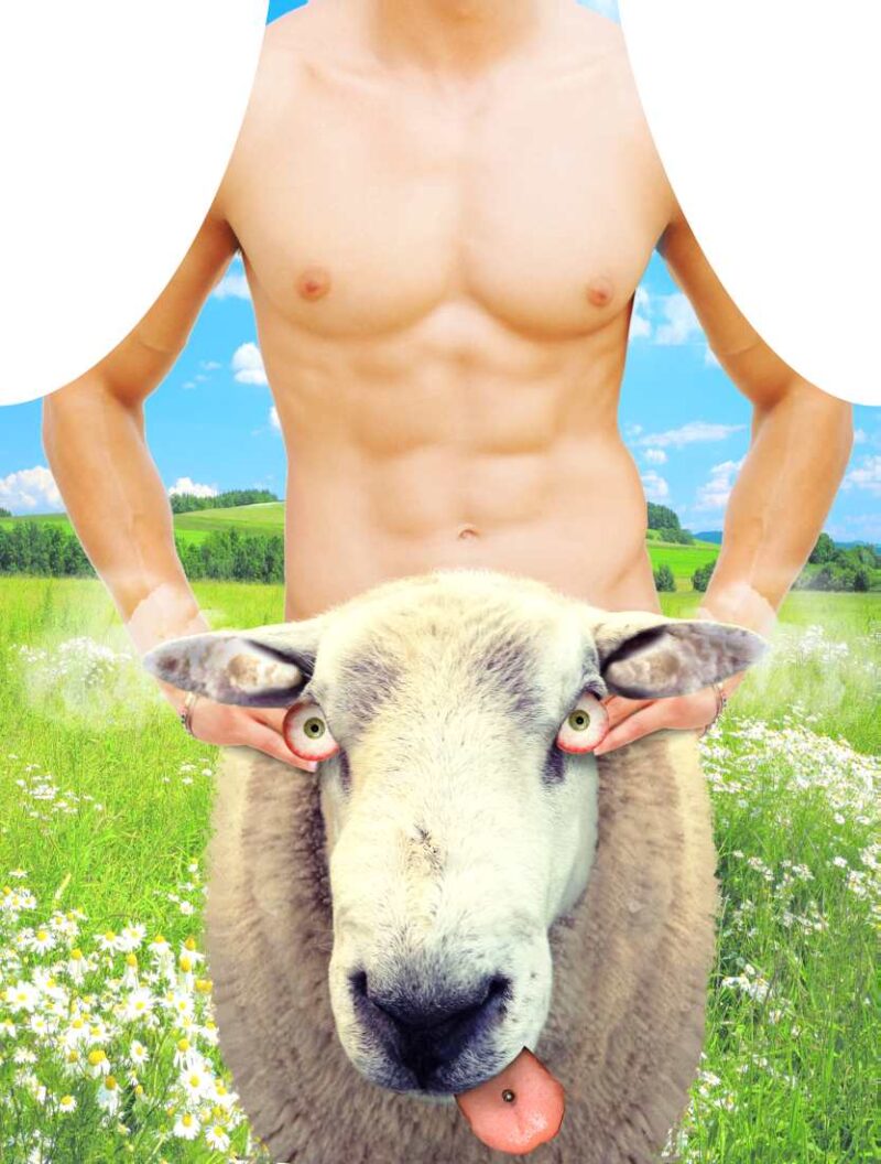 fartuch-nr-03-sheep Fartuch nr 03 (sheep)..