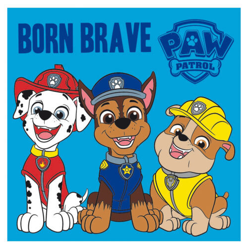 Ręcznik prasowany dziecięcy 30x30 Psi Patrol 348